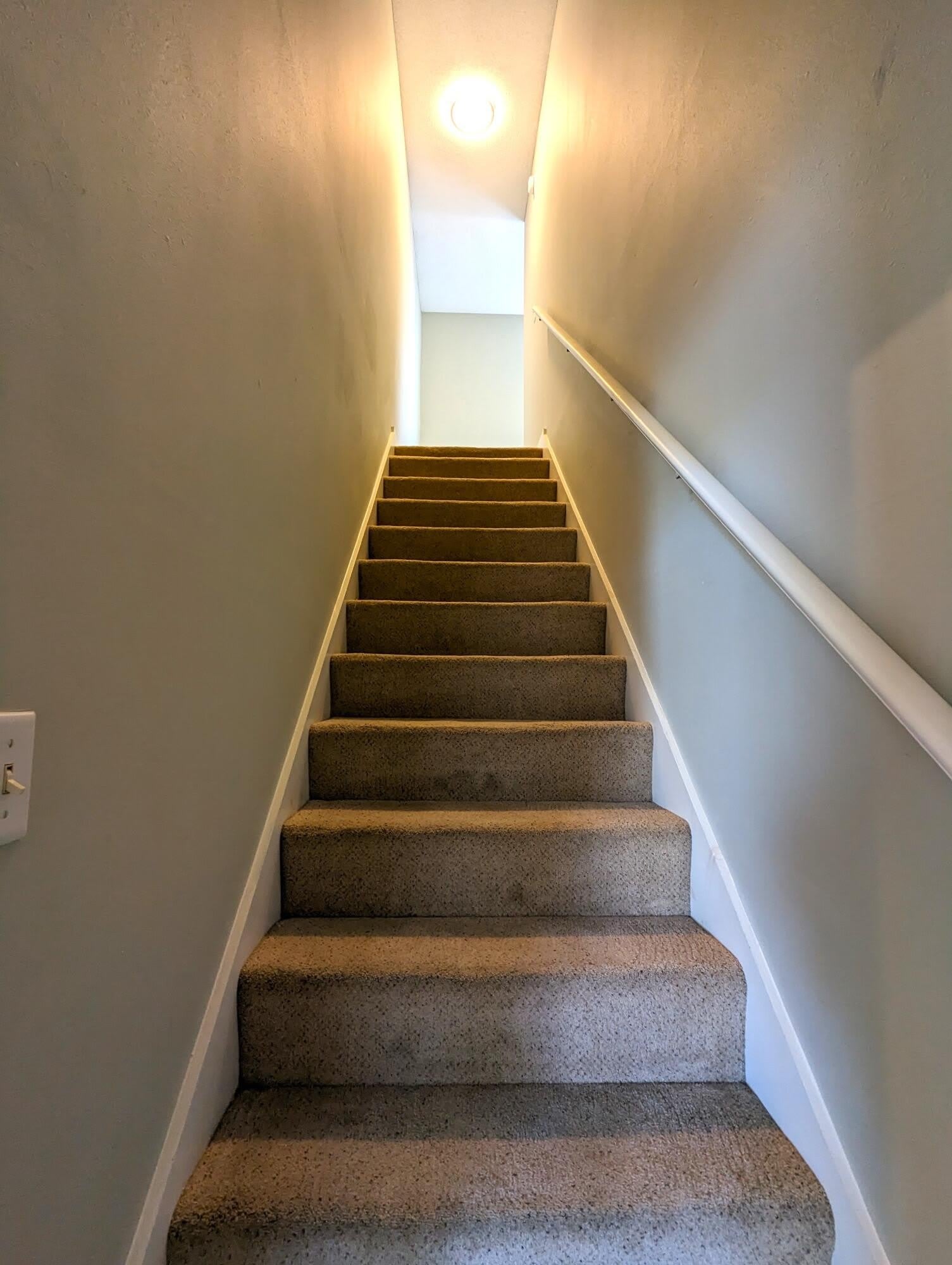 517 Rush Park Circle – photo 5