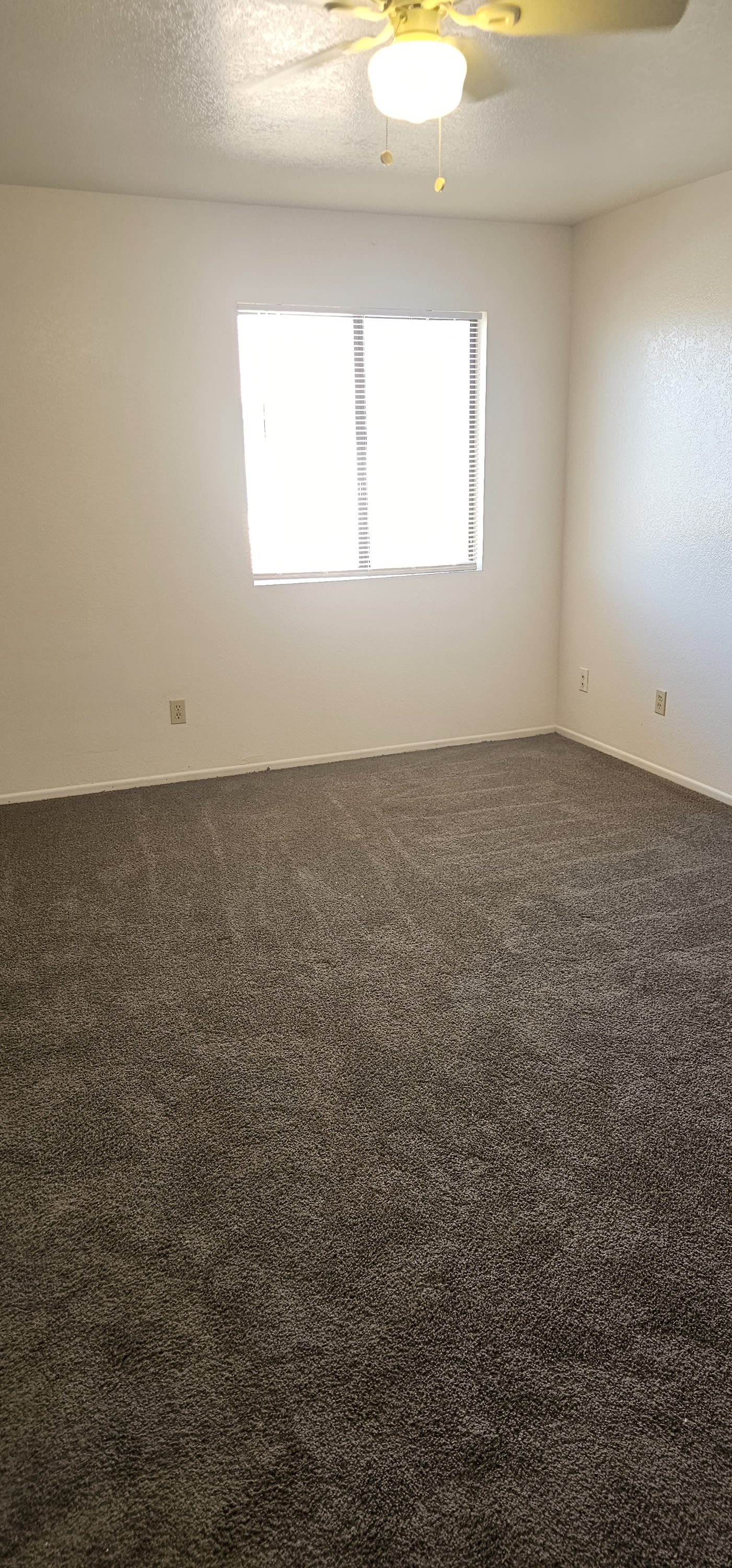 6148 E. Greenway St. – photo 1