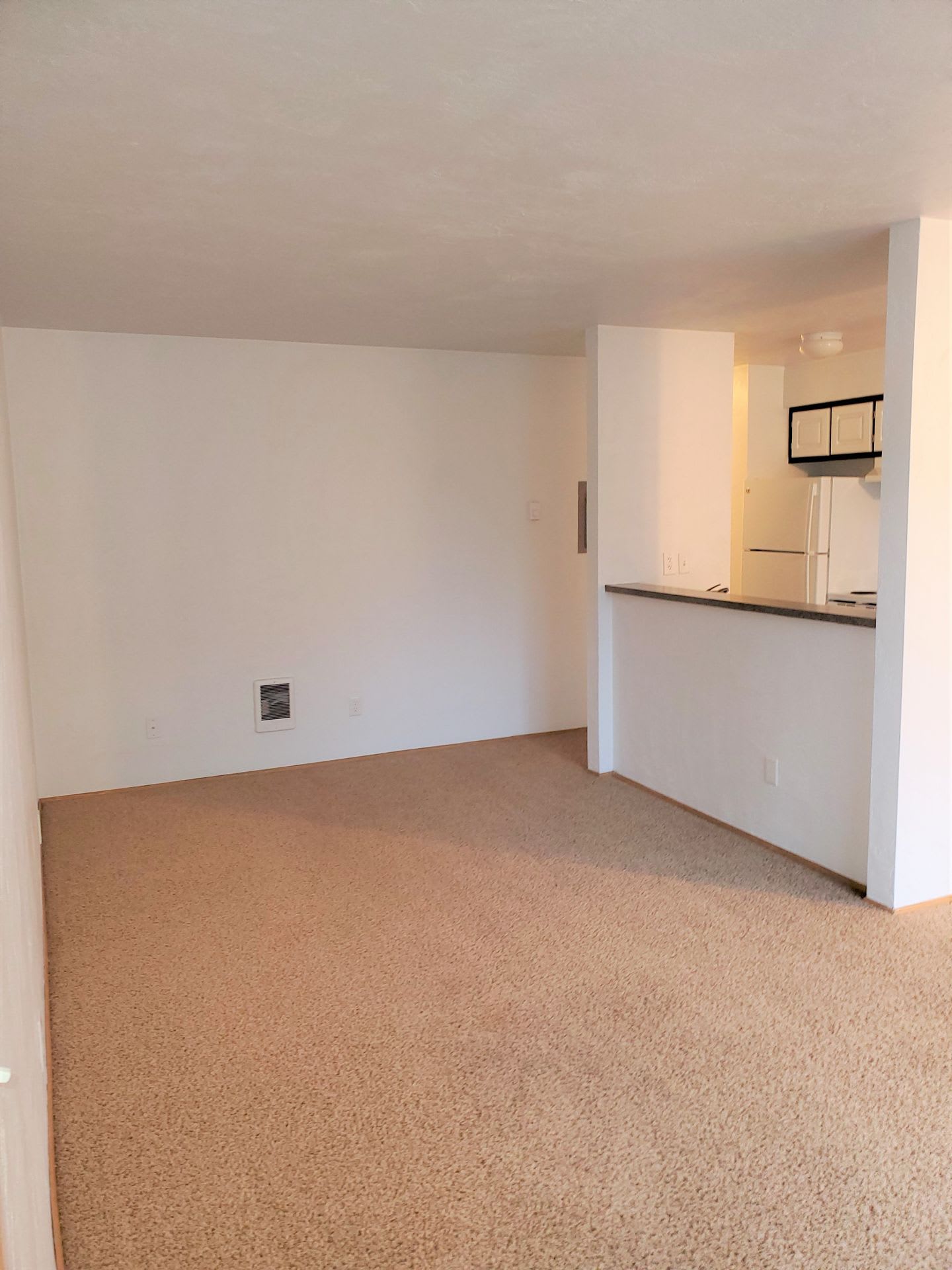 One Bedroom, One Bath – photo 3