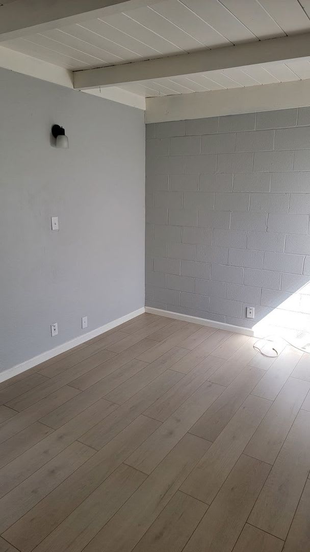 1 Bedroom Duplex in Roseville Available Now – photo 3