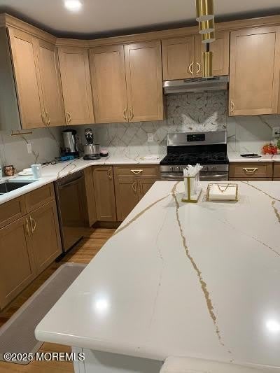 988 Elizabeth Terrace – photo 5