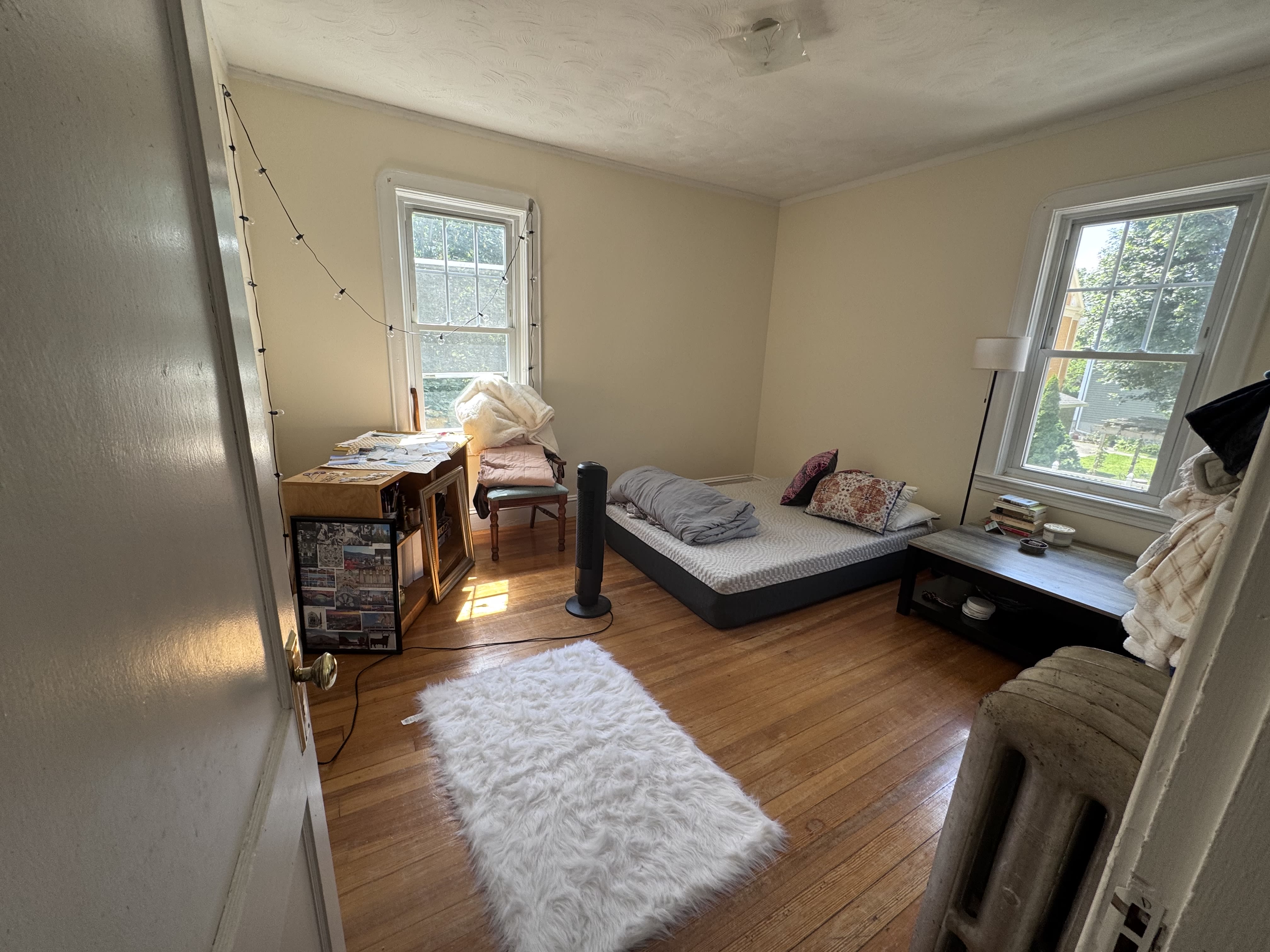 113 Ivy Street – photo 4