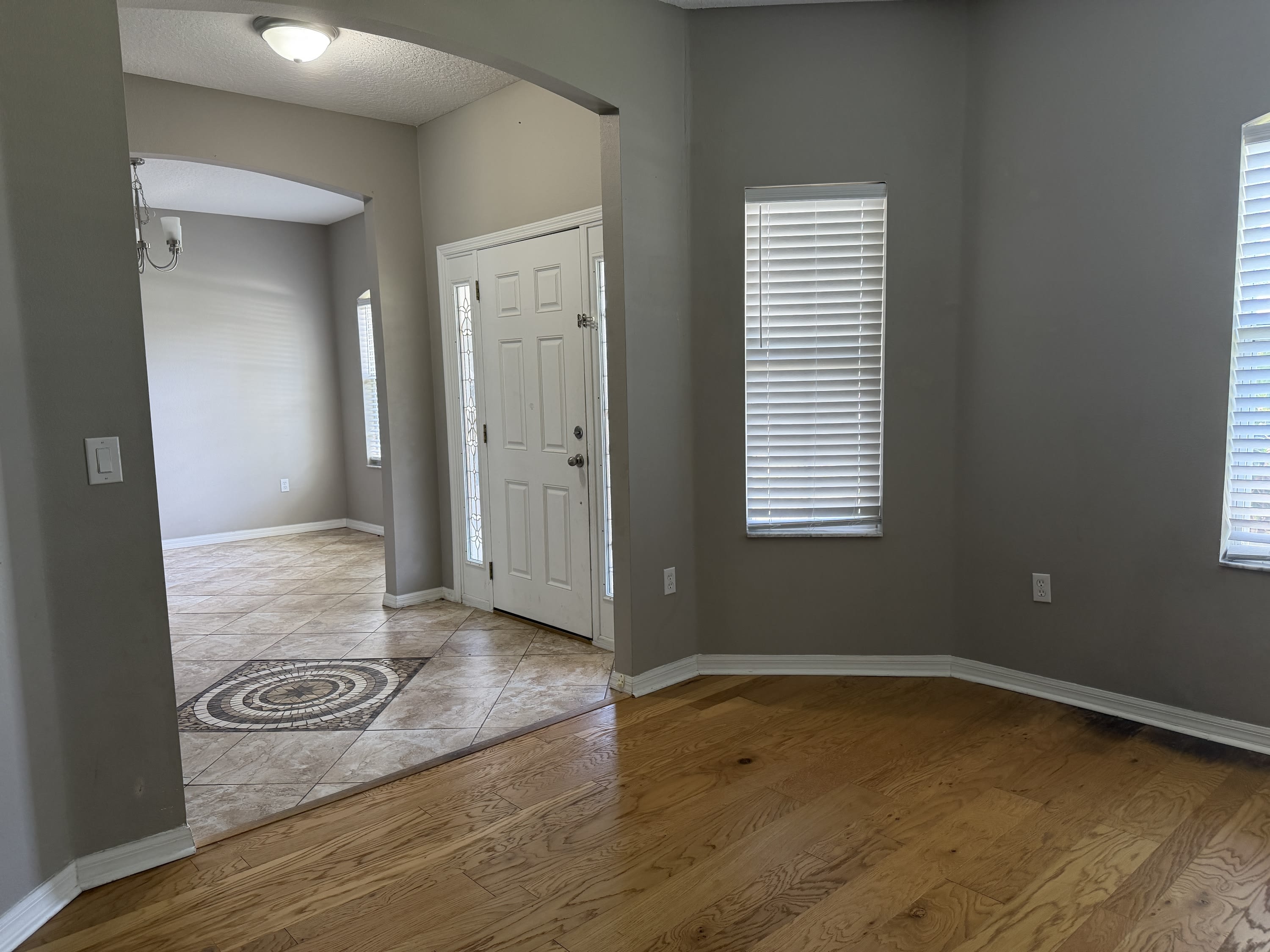 29 Forsythe Lane – photo 3