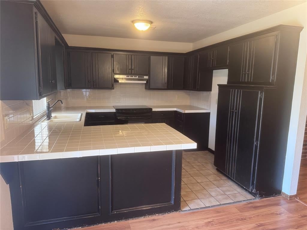 2900 Green Canyon Drive – photo 4