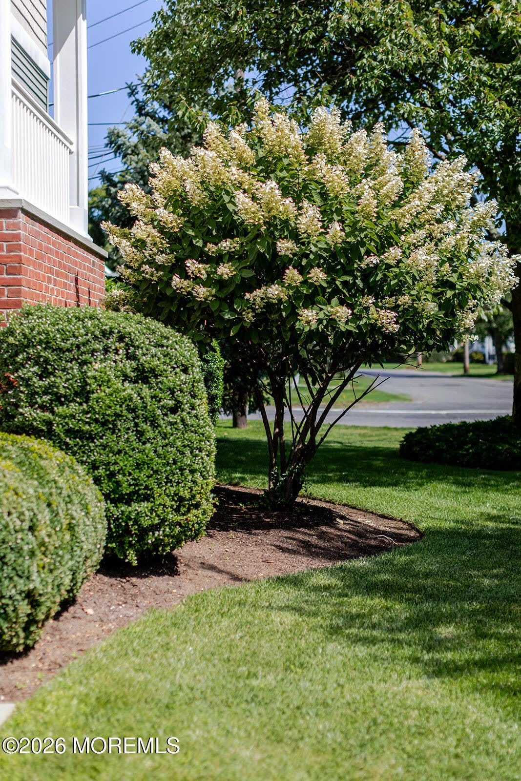 2 Shrewsbury Drive – photo 3