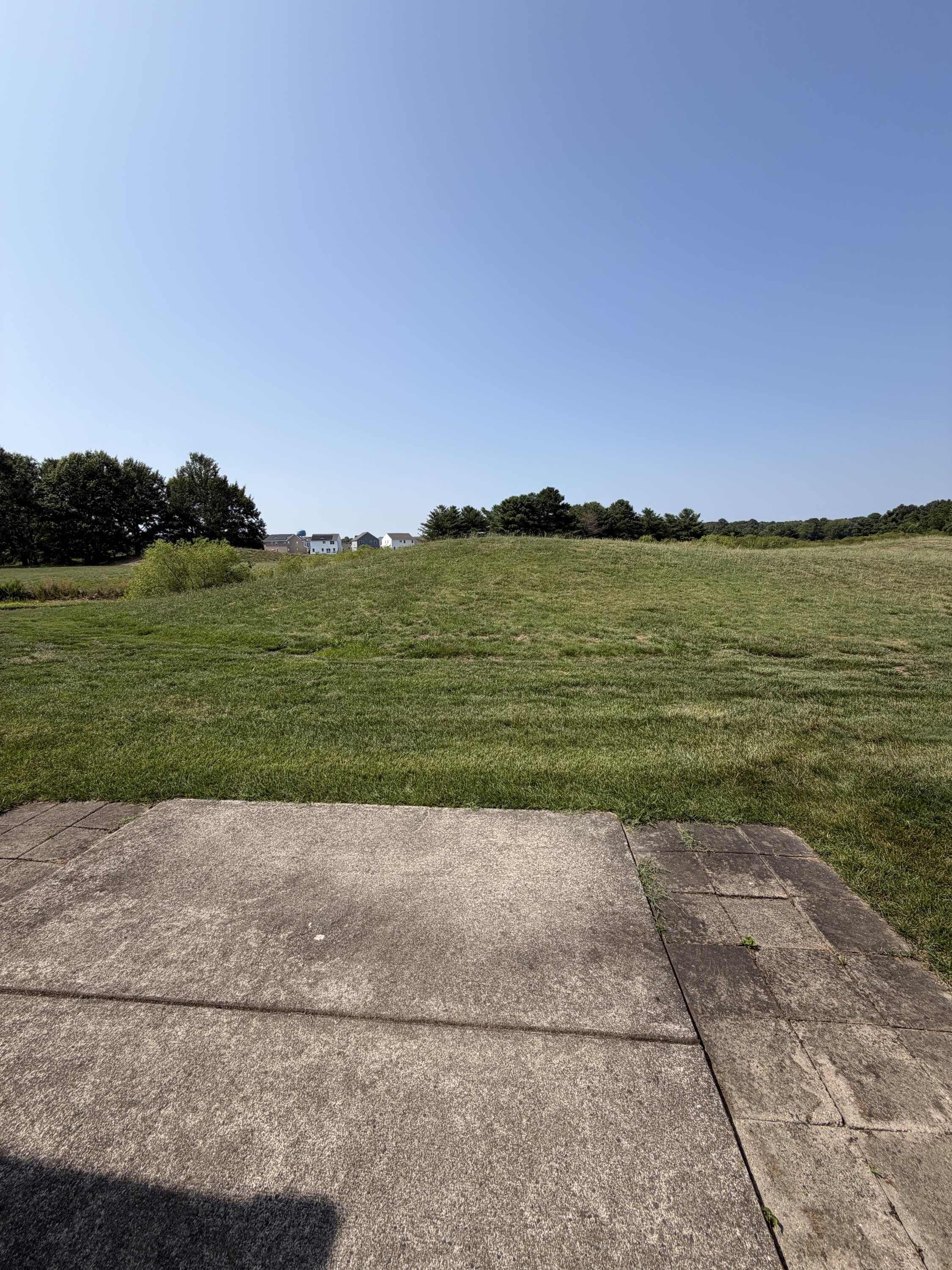 9008 Executive Club Drive – photo 3