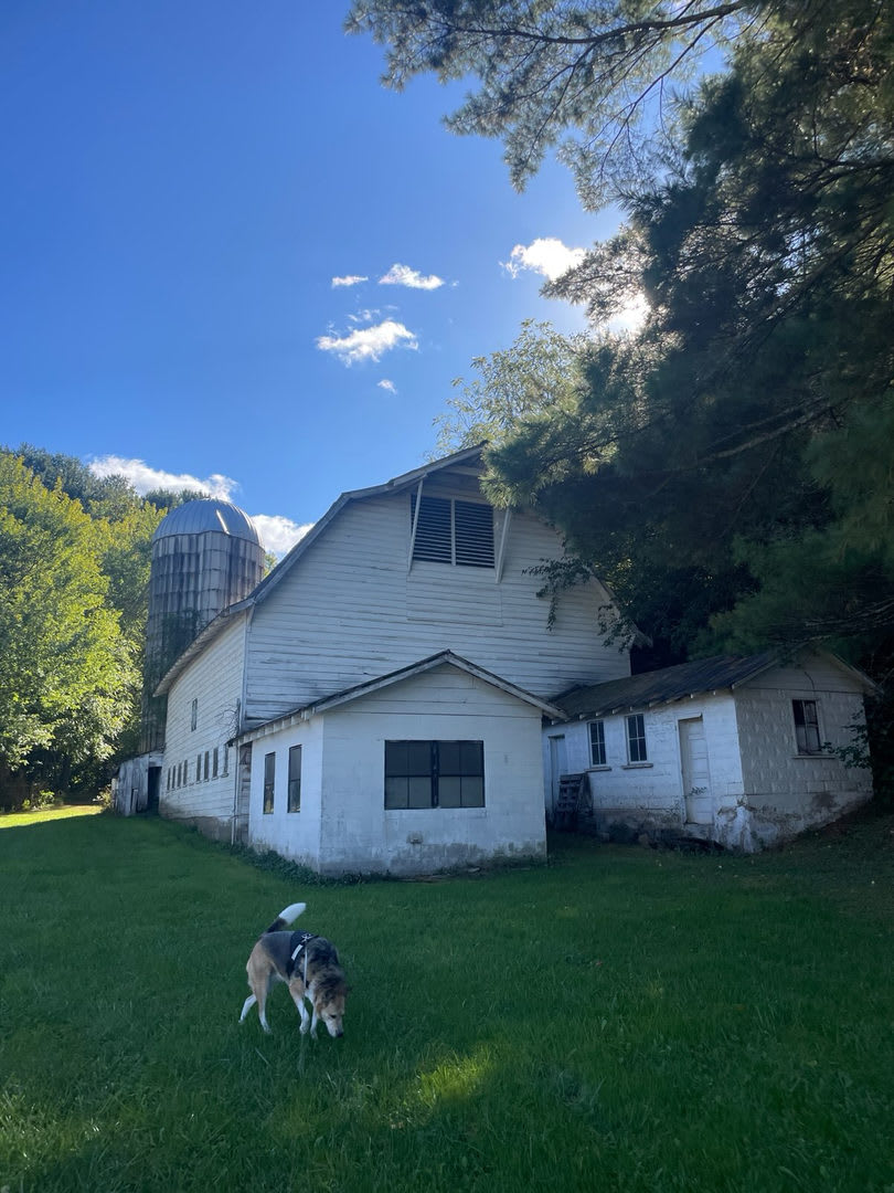 Blue Ridge Escape in Leicester— Asheville – photo 3