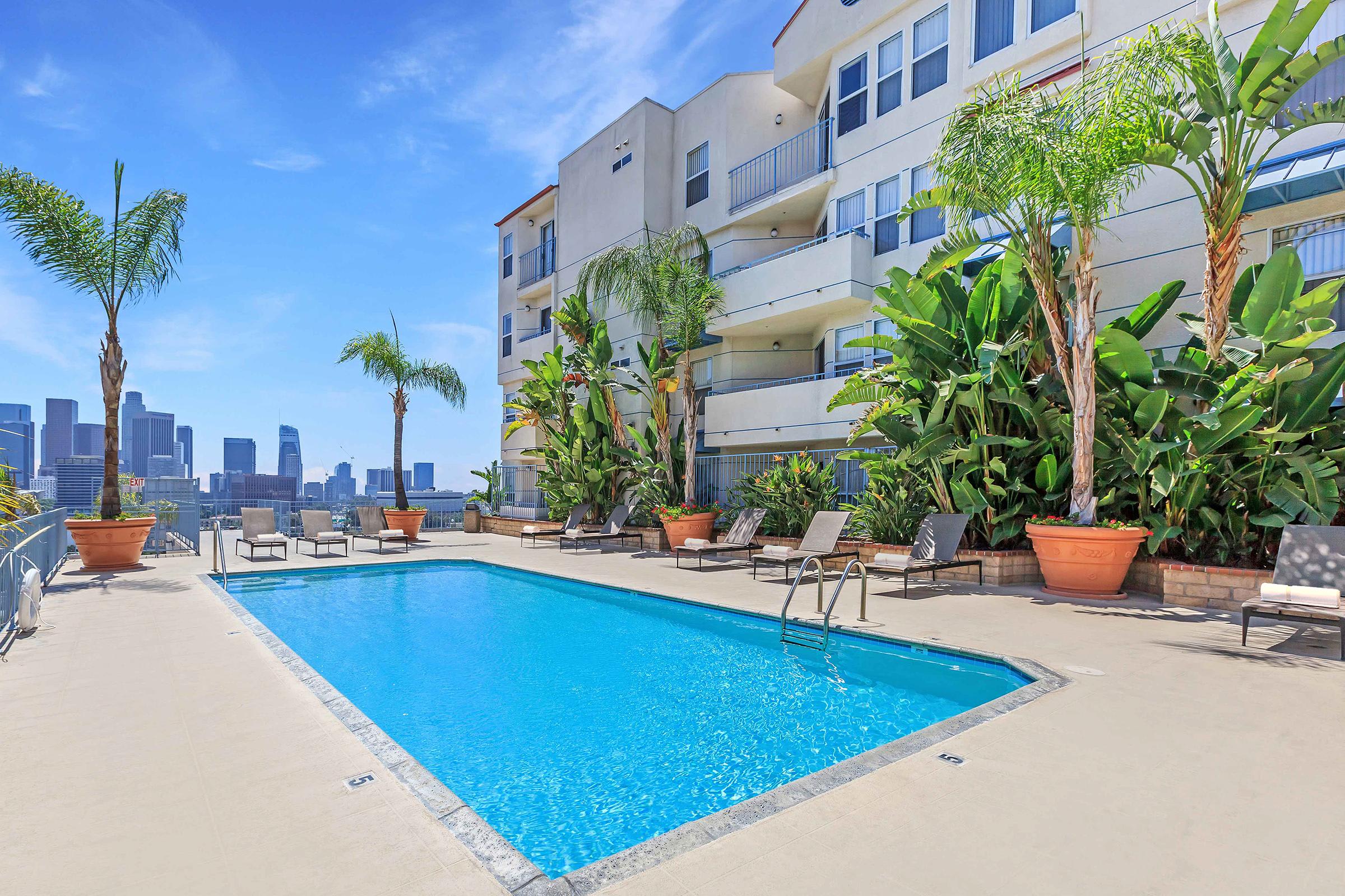 Skyline Terrace Apartments – photo 2