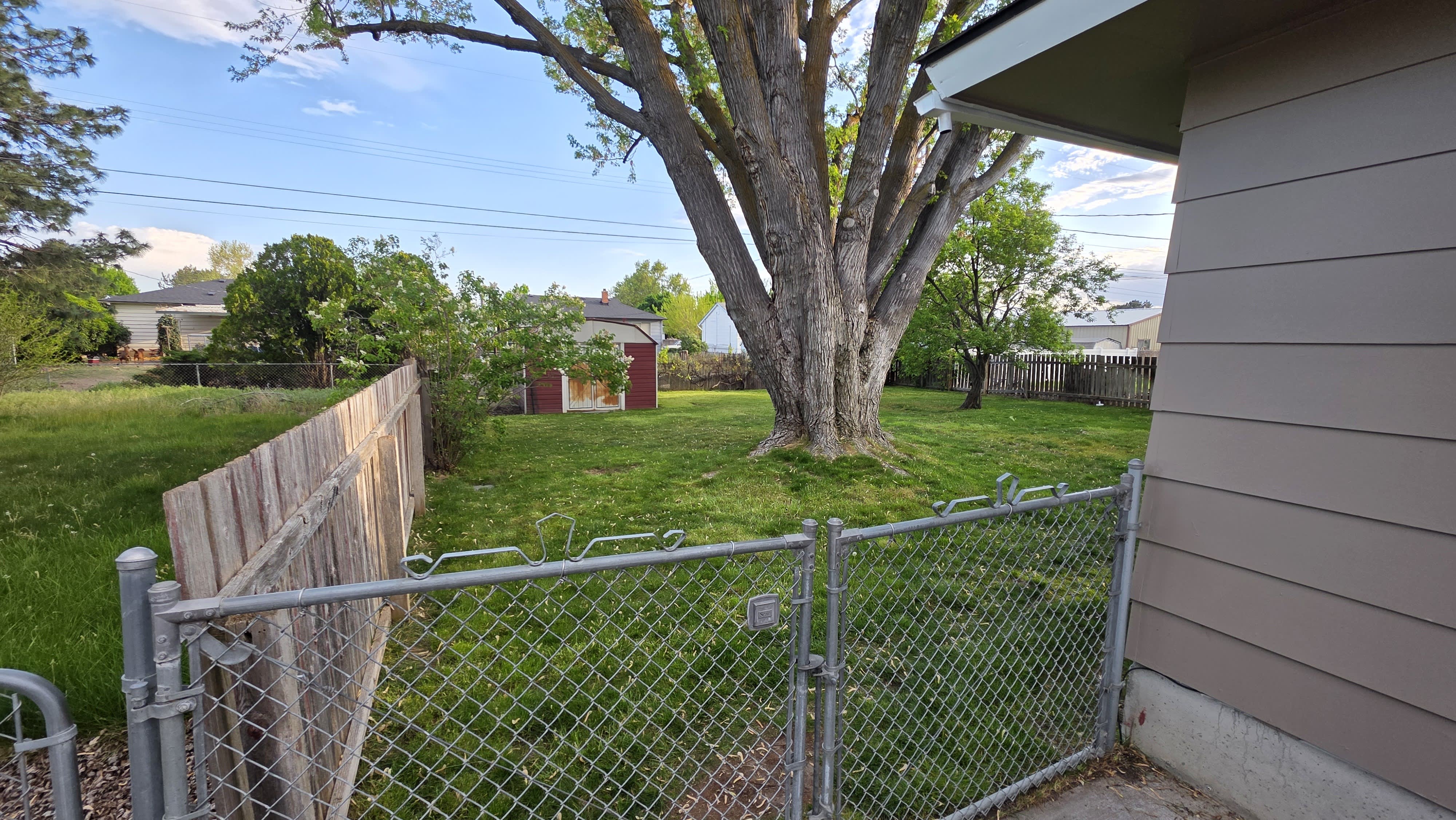 505 Newcomer Street – photo 4