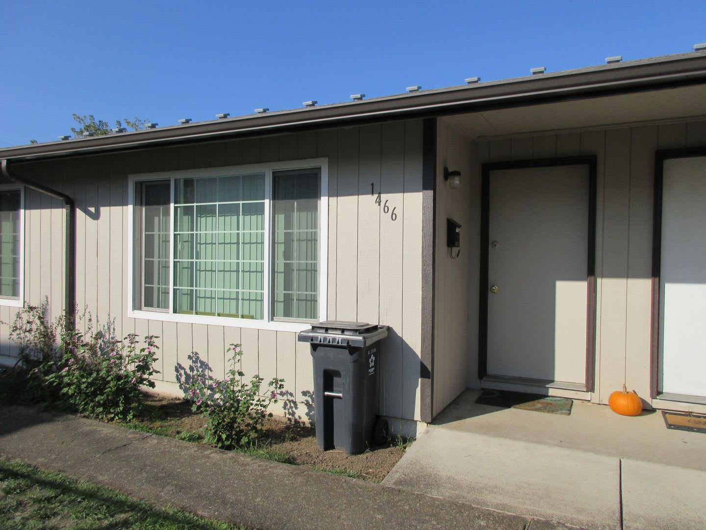 Updated, Spacious One Bedroom – photo 1