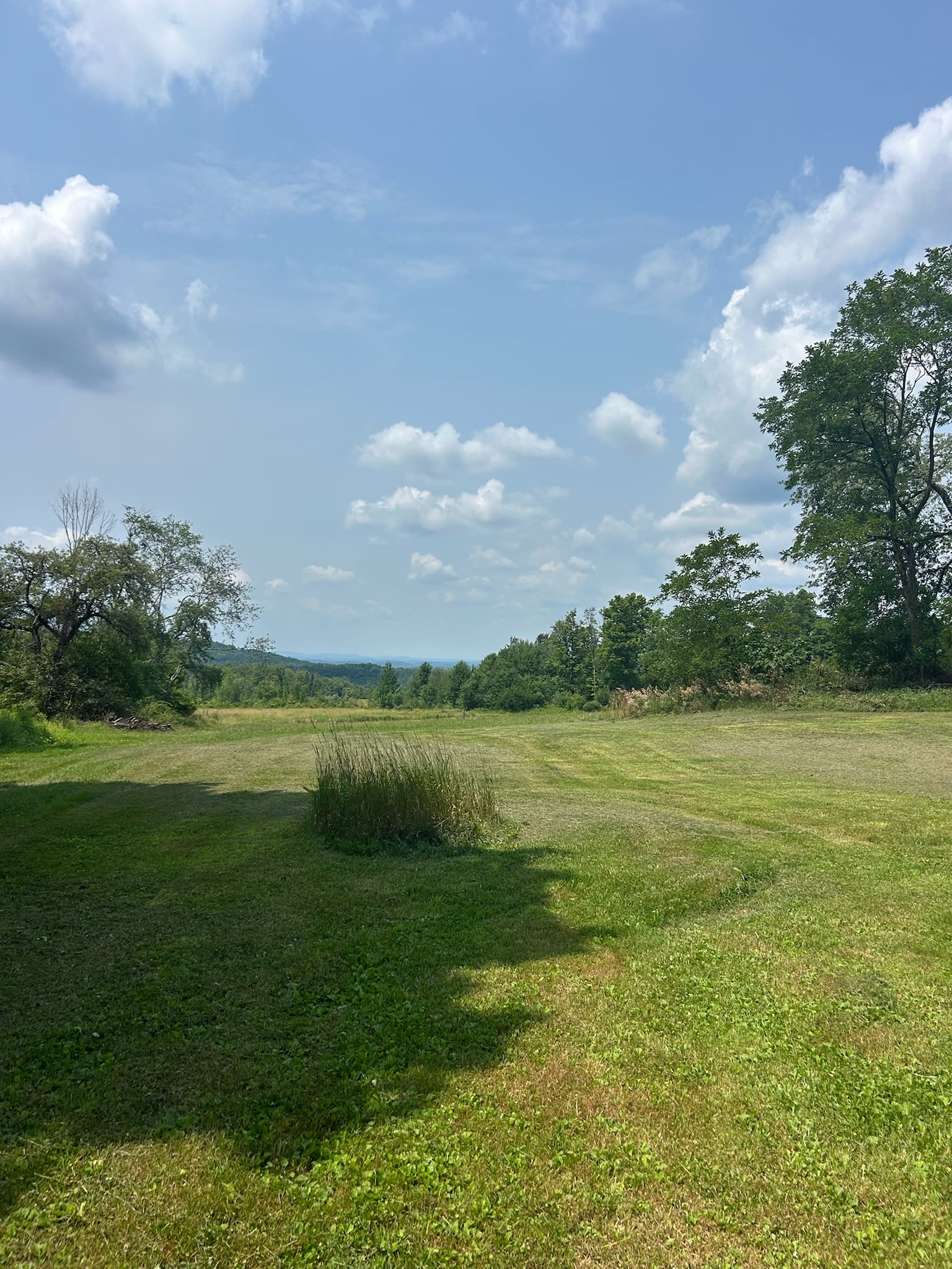 1297 Lakeland Drive – photo 5