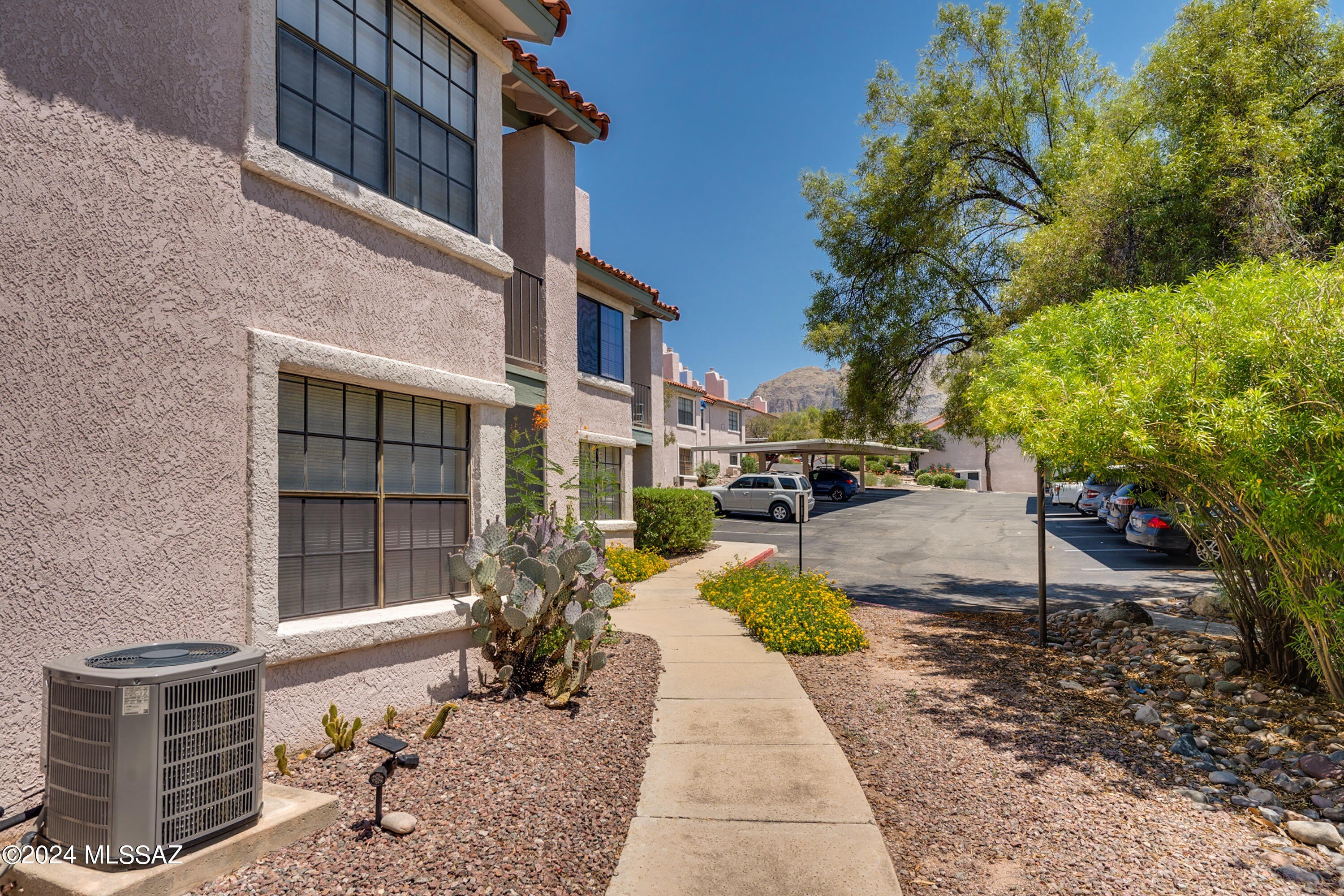 6441 N Tierra De Las Catalinas – photo 5