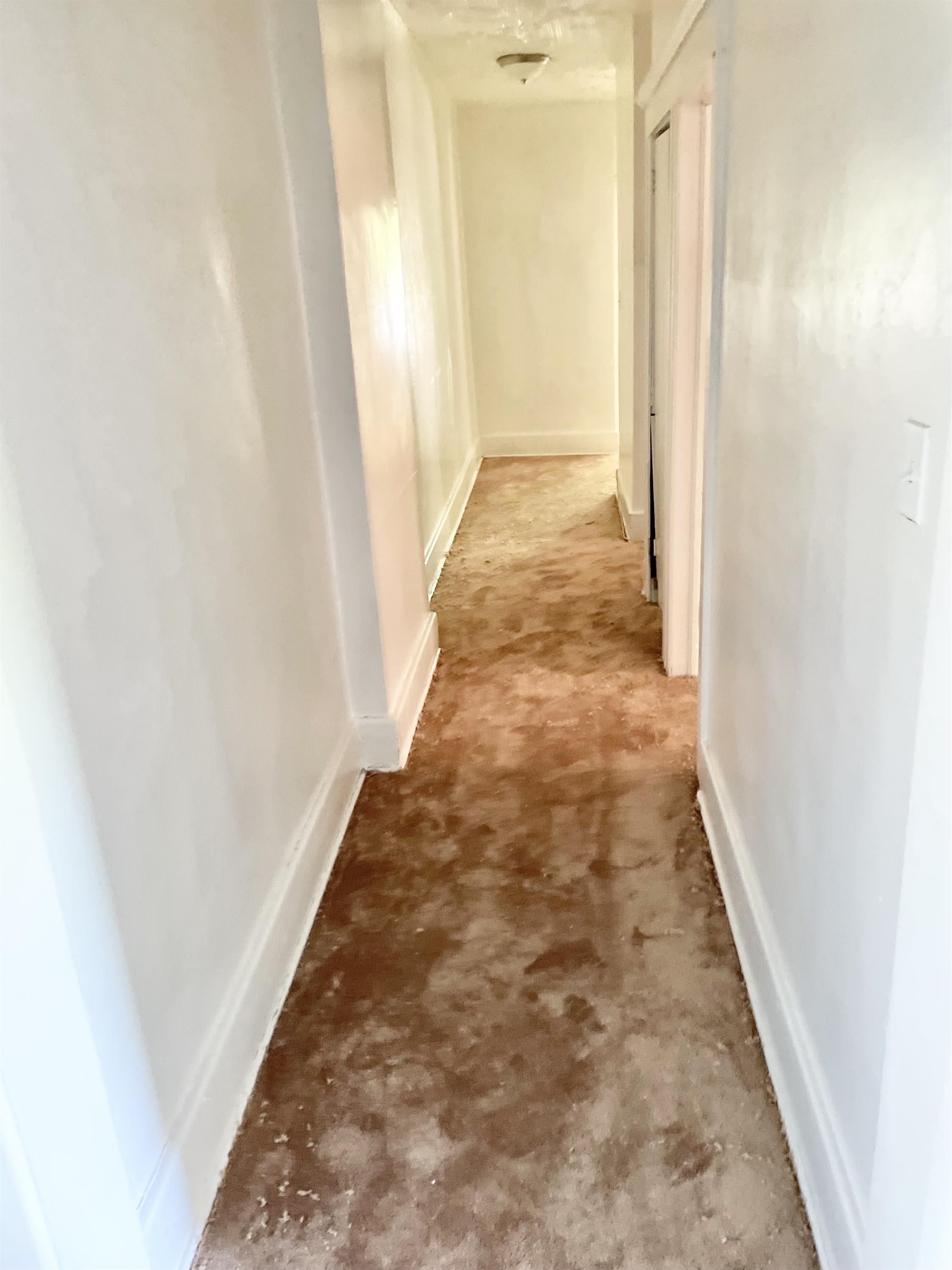3049 Montclair Street – photo 3