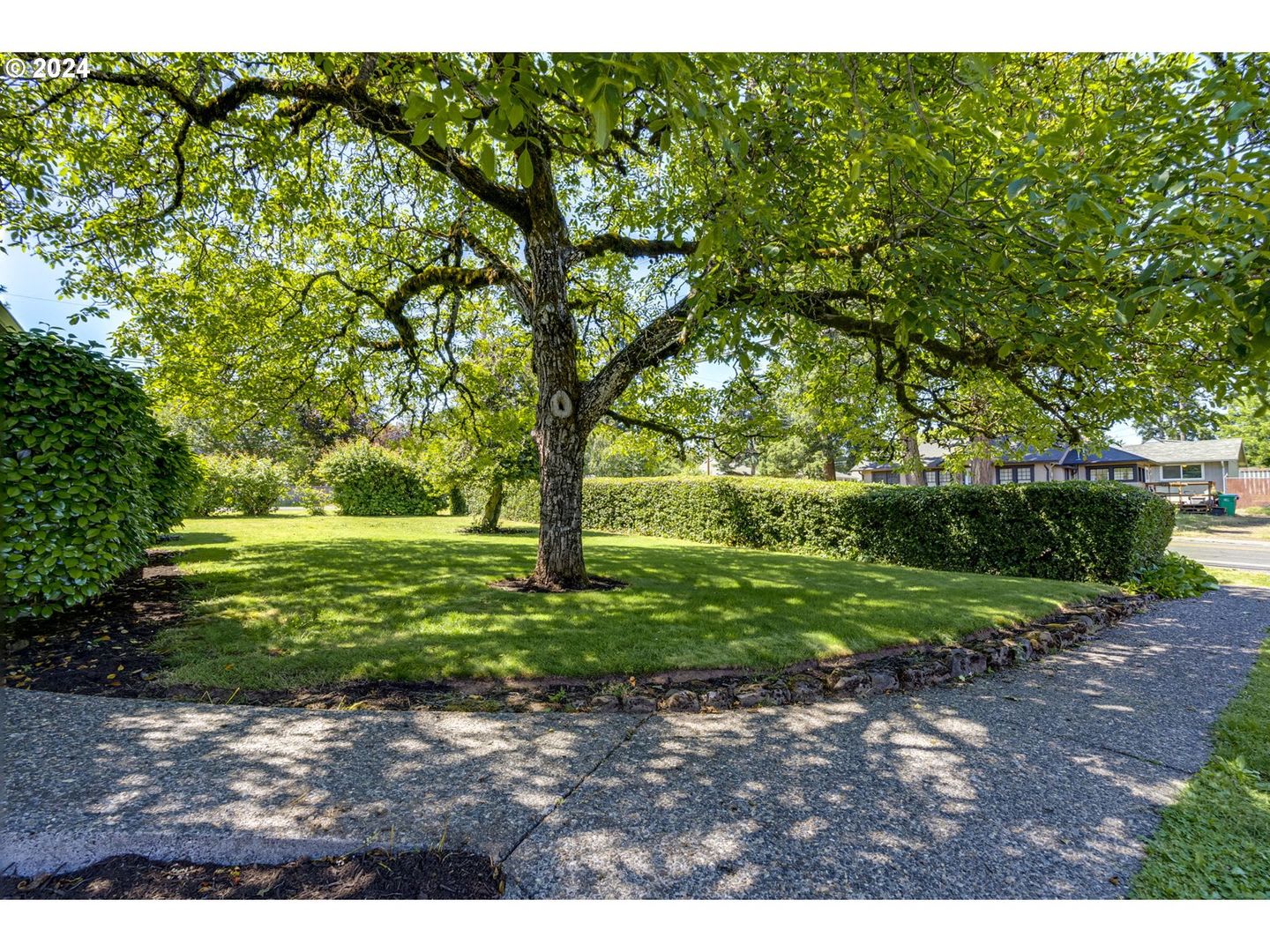 Historic 4 Bedroom Stone Home With Timeless Character Hardwood Floors Spacious Living A Large Private Yard – photo 4