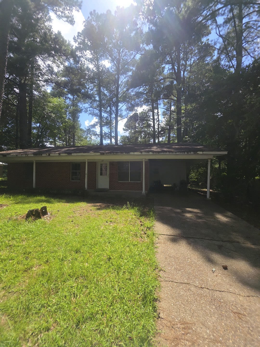 224 Ragan – photo 1