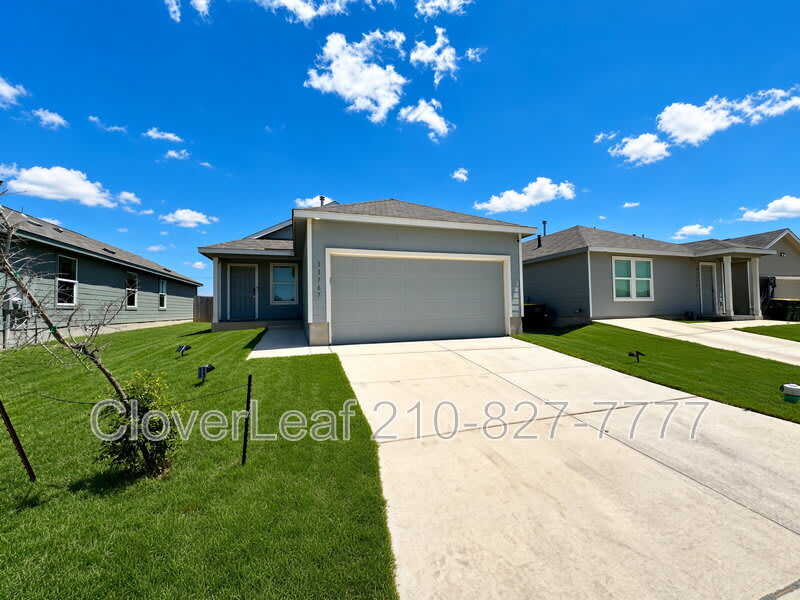 11767 Arctic Rose – photo 3