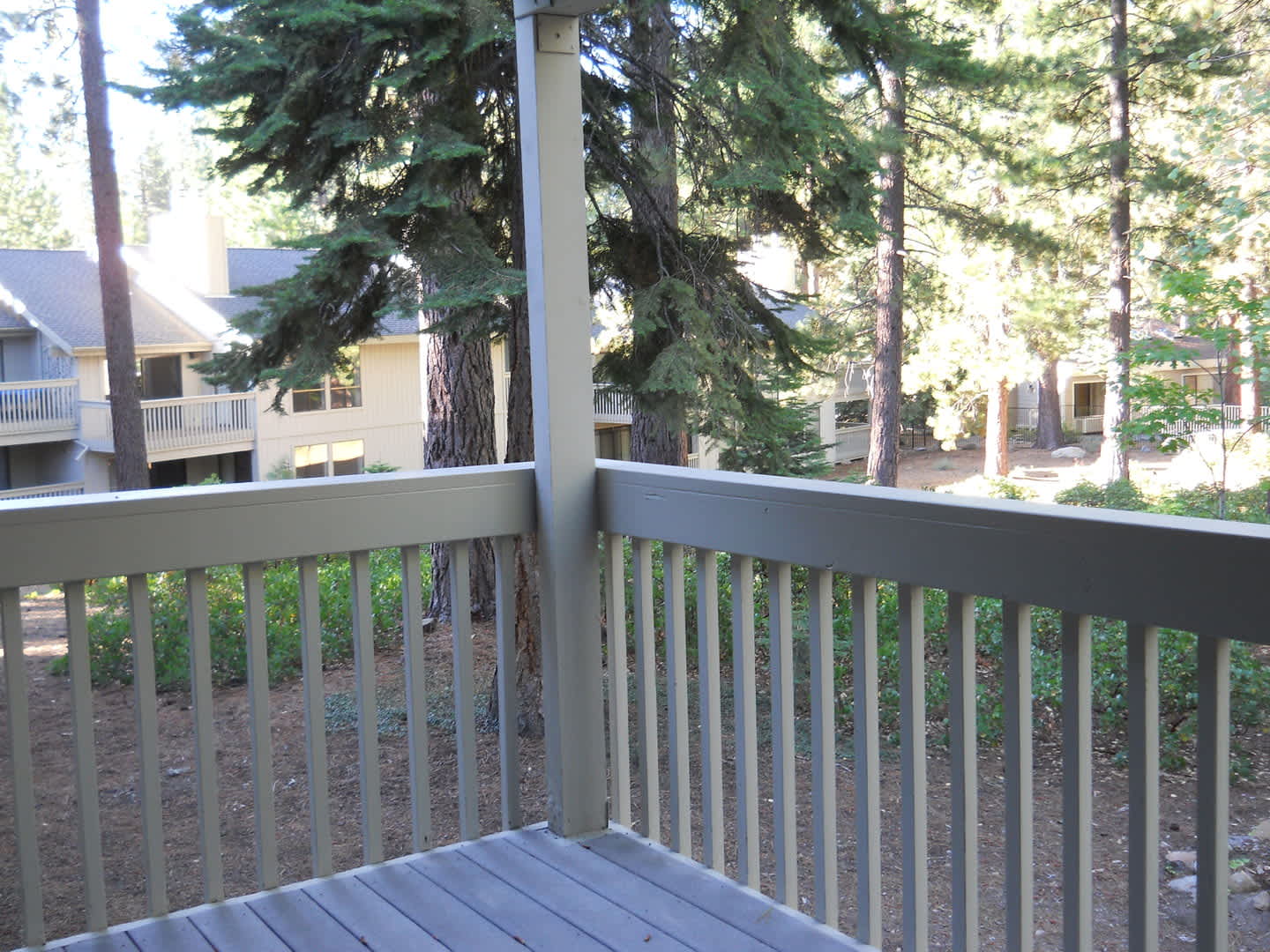 Rare Skylake Beauty – photo 2