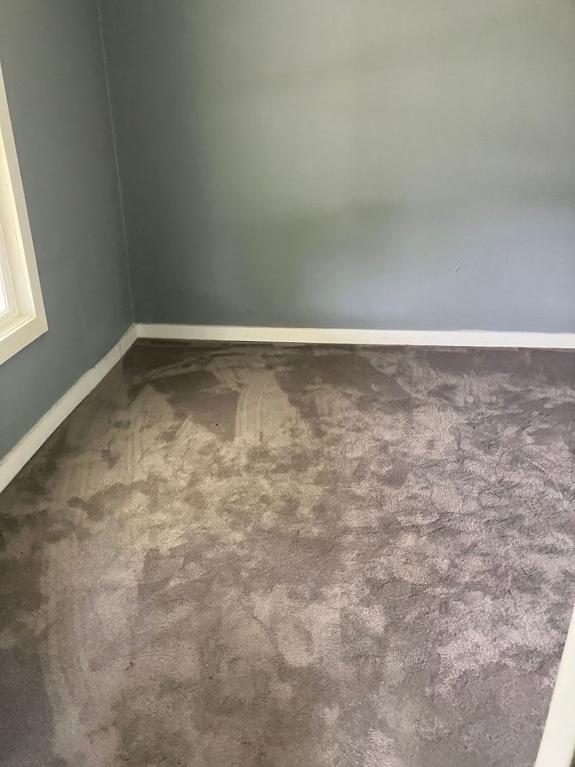 Refreshed 2 bedroom home – photo 4