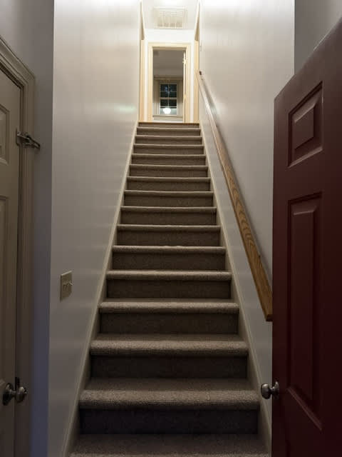 206 Kingston Drive – photo 2