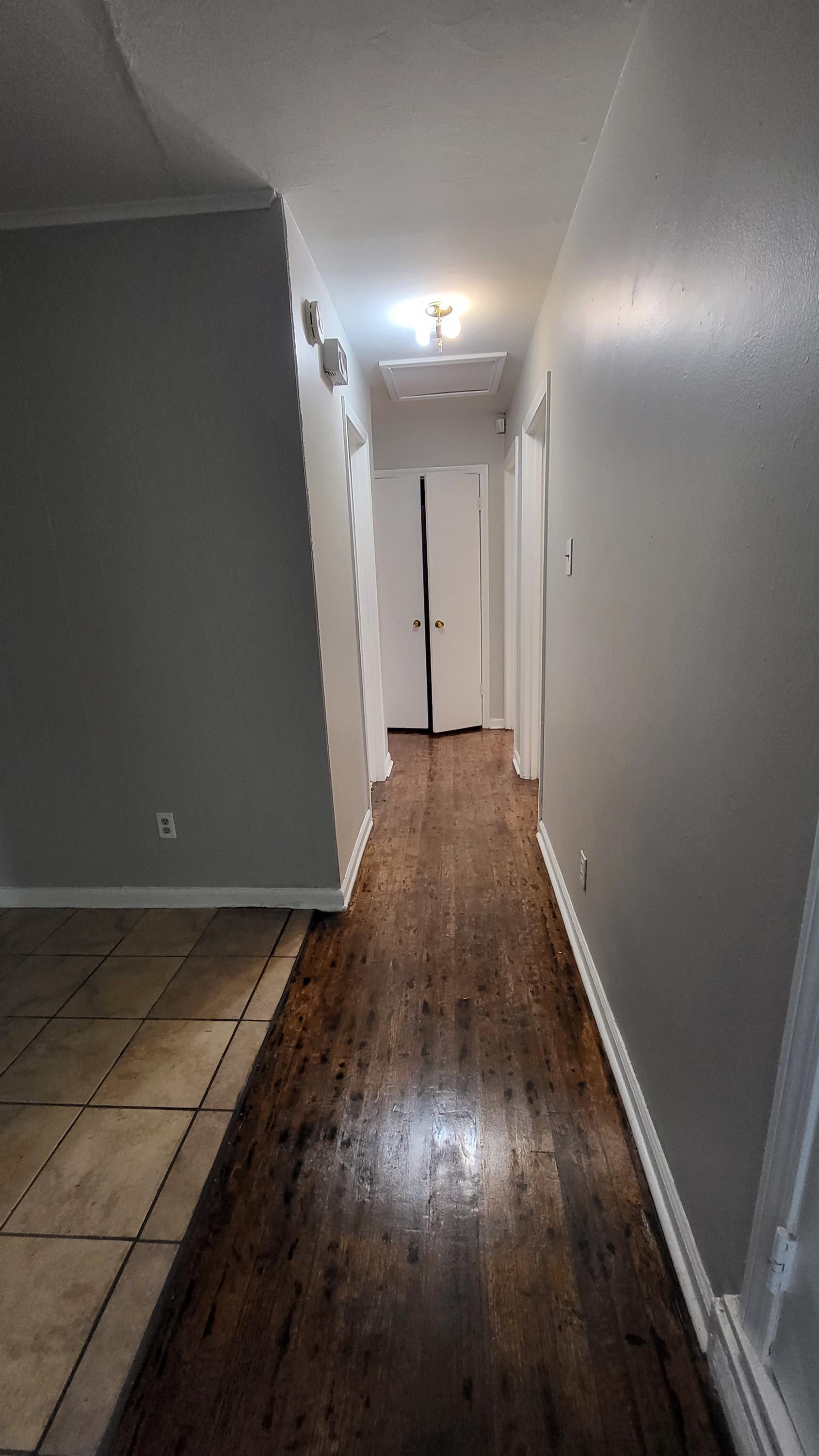 4697 Grecco Drive – photo 3