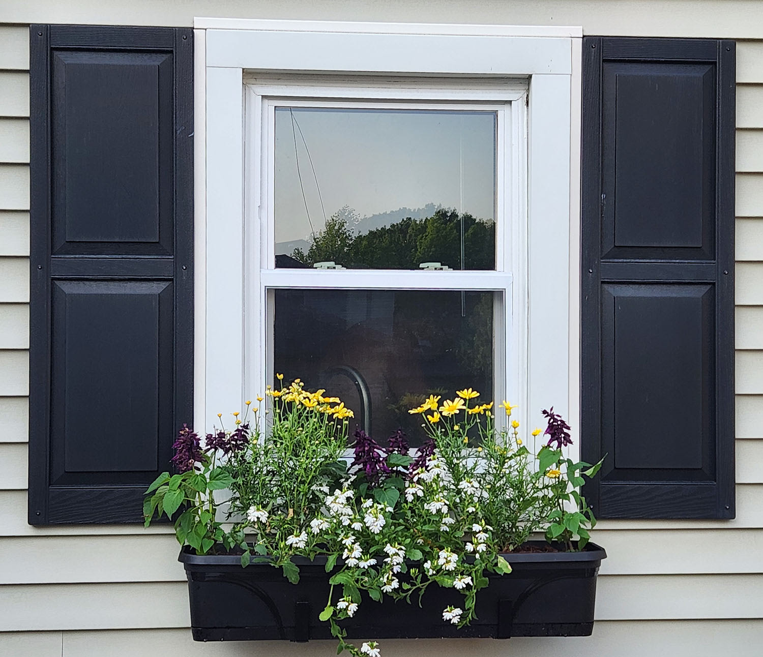 216 5th Street – photo 2