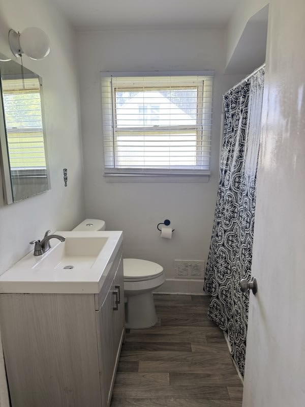 20246 Bloom Street – photo 4