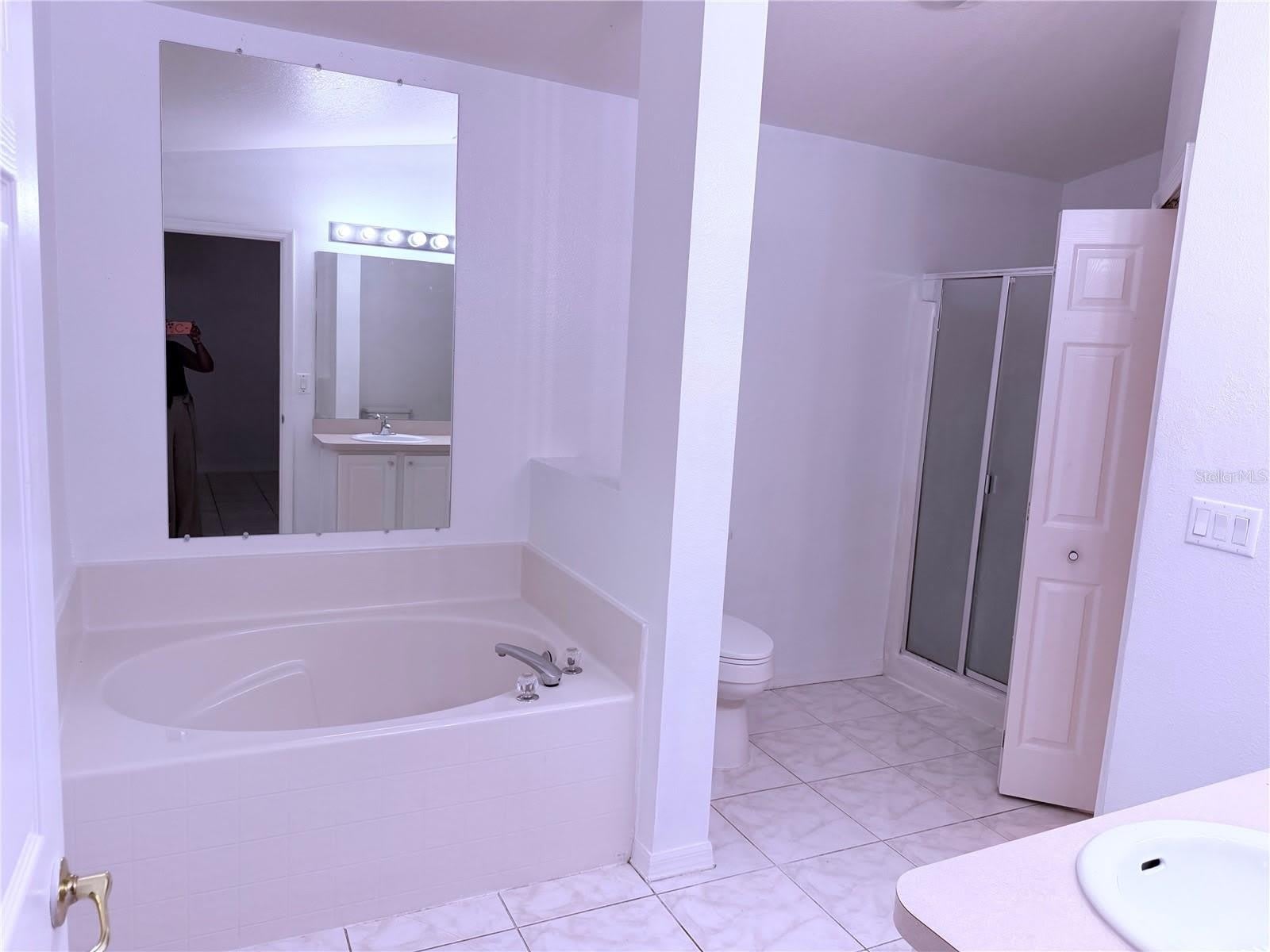 161 CHINA BERRY Circle – photo 4