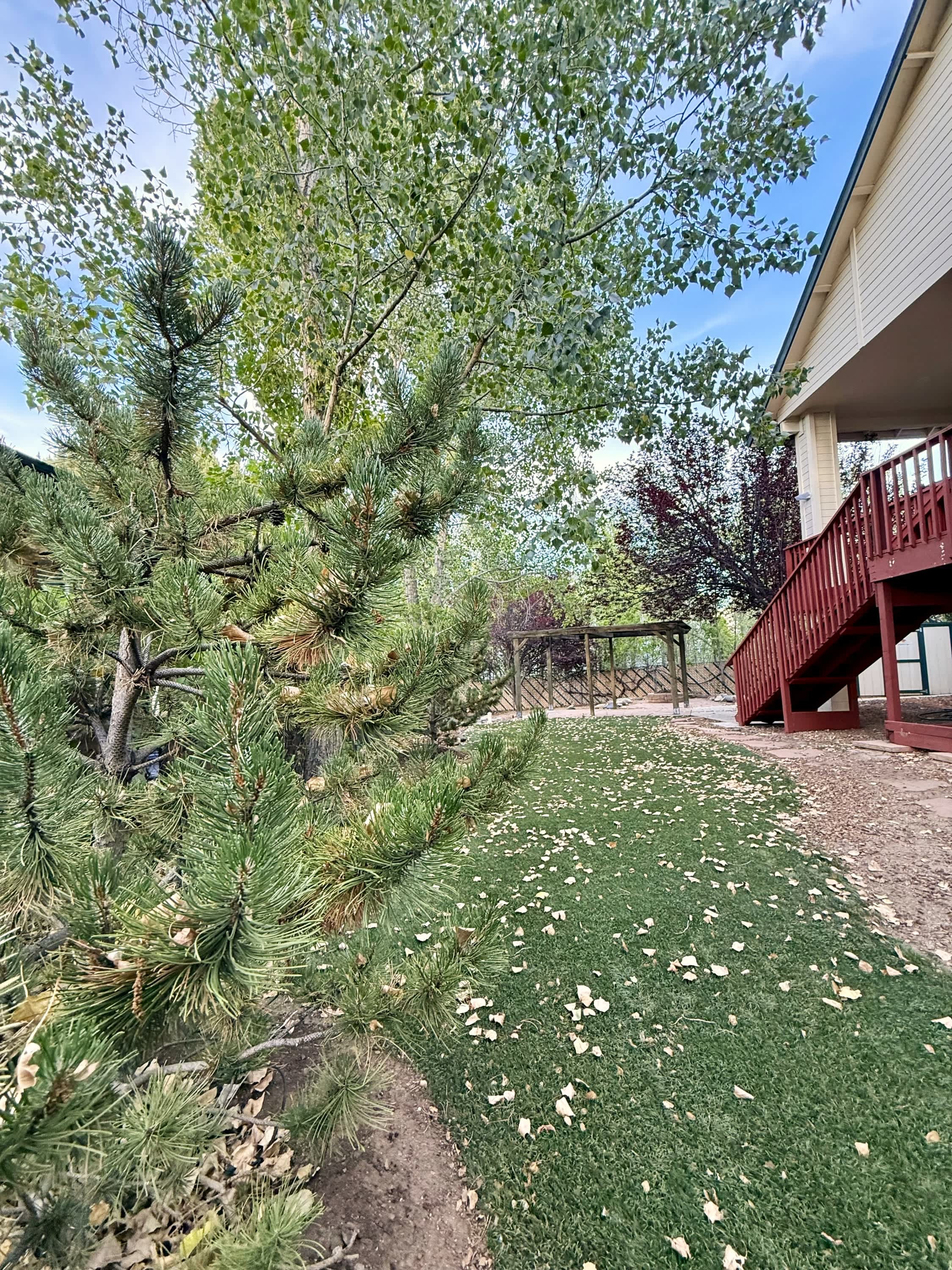 242 West Rosser Street – photo 2