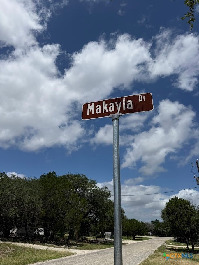 1008 Makayla Drive – photo 5