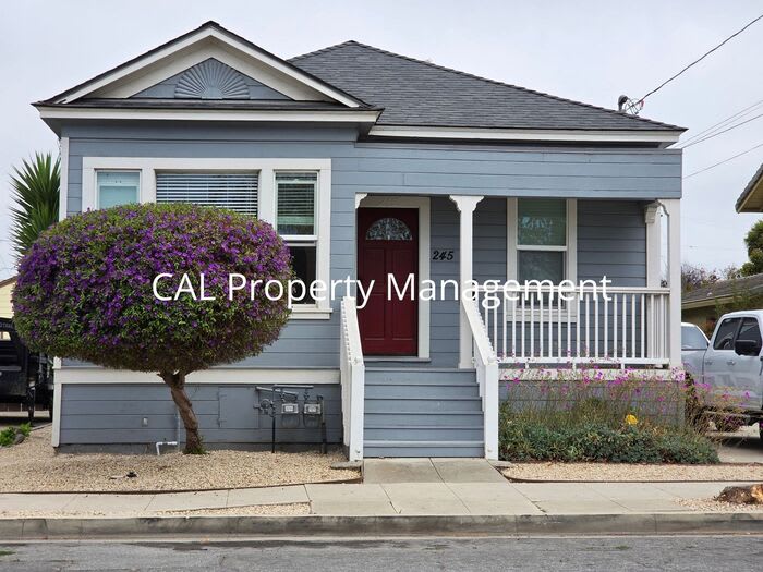 245 Maple Street – photo 1