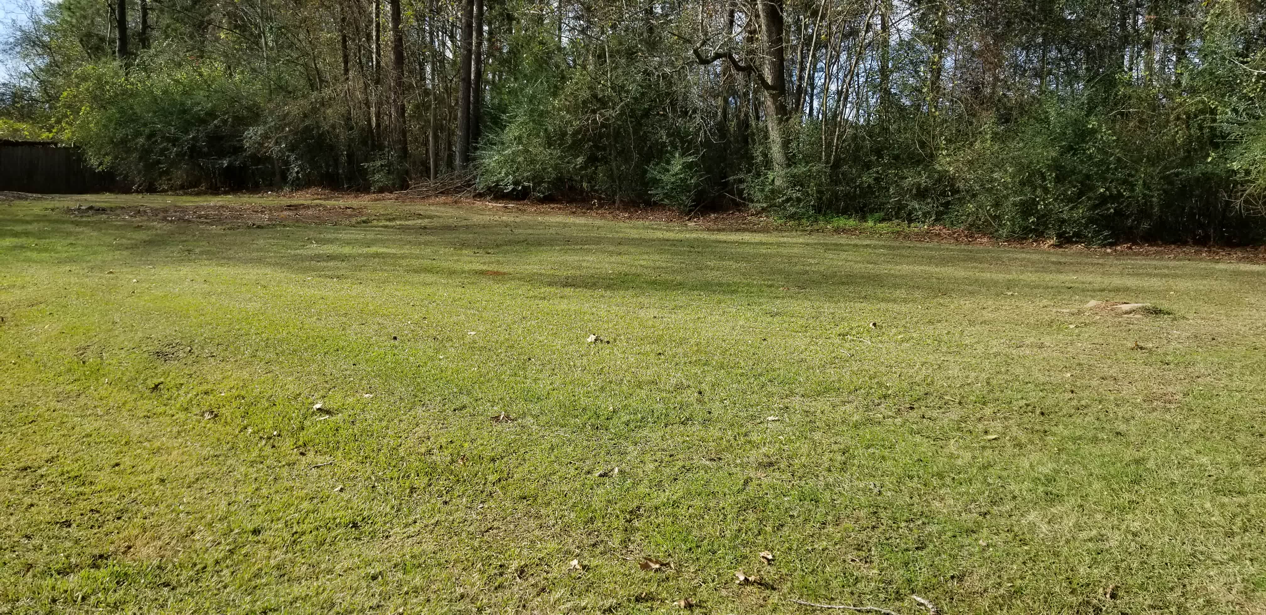 209 Saint Clair St – photo 2