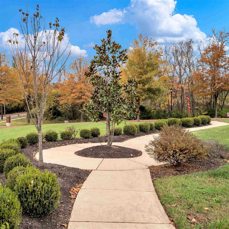 Arbor Crest Senior Apartments – photo 2