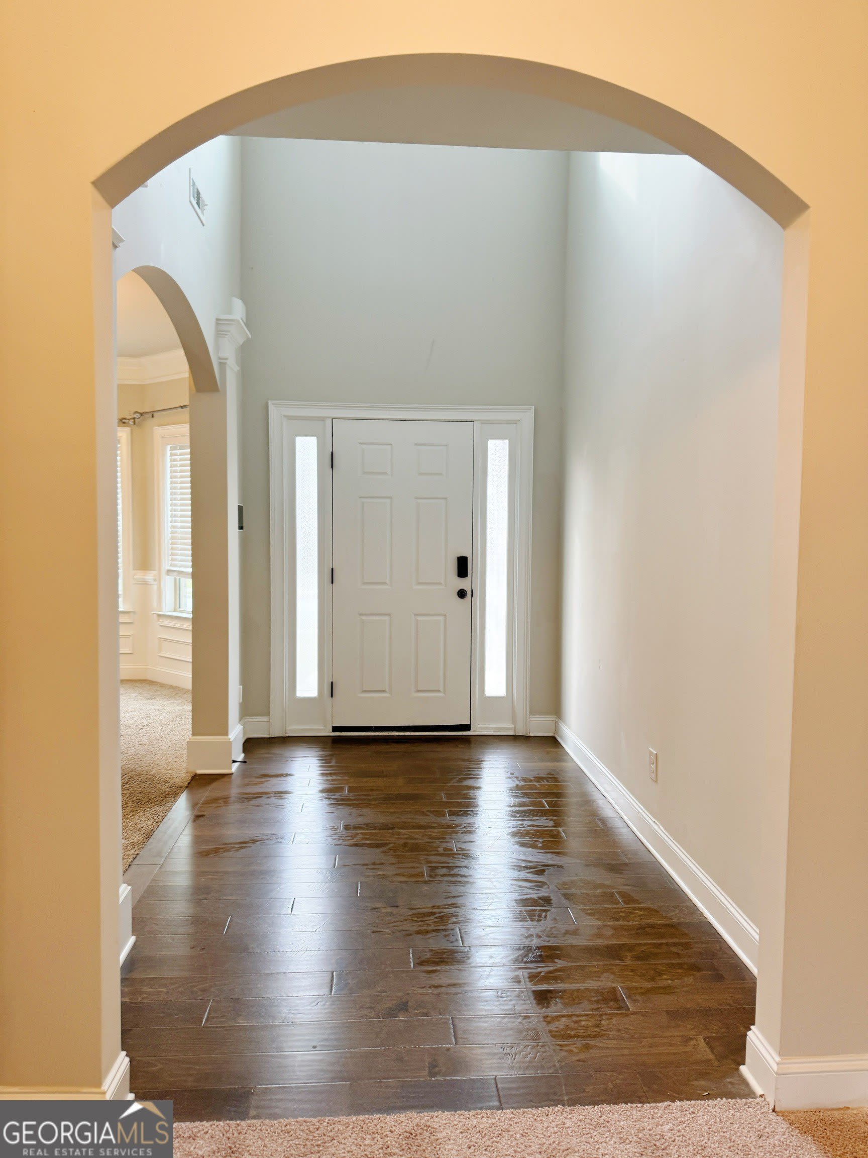732 Sanctuary Lane – photo 3