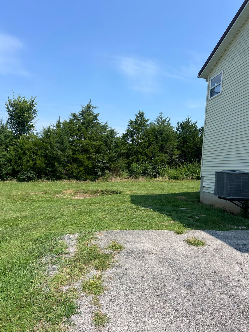 4 Beds 1 5 Baths On 1 2 Acre Lot – photo 3