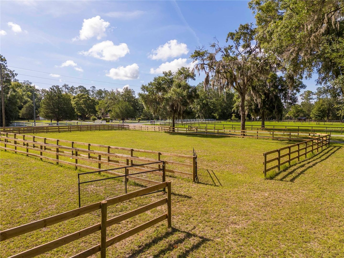 Exceptional equestrian opportunity! – photo 4