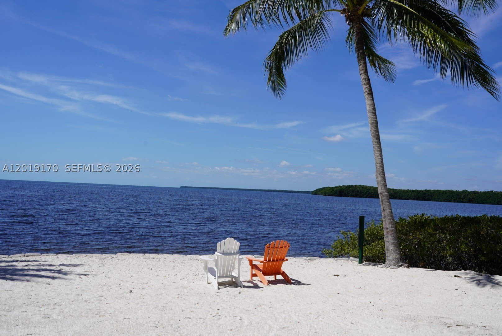 6206 Paradise Point Dr – photo 4