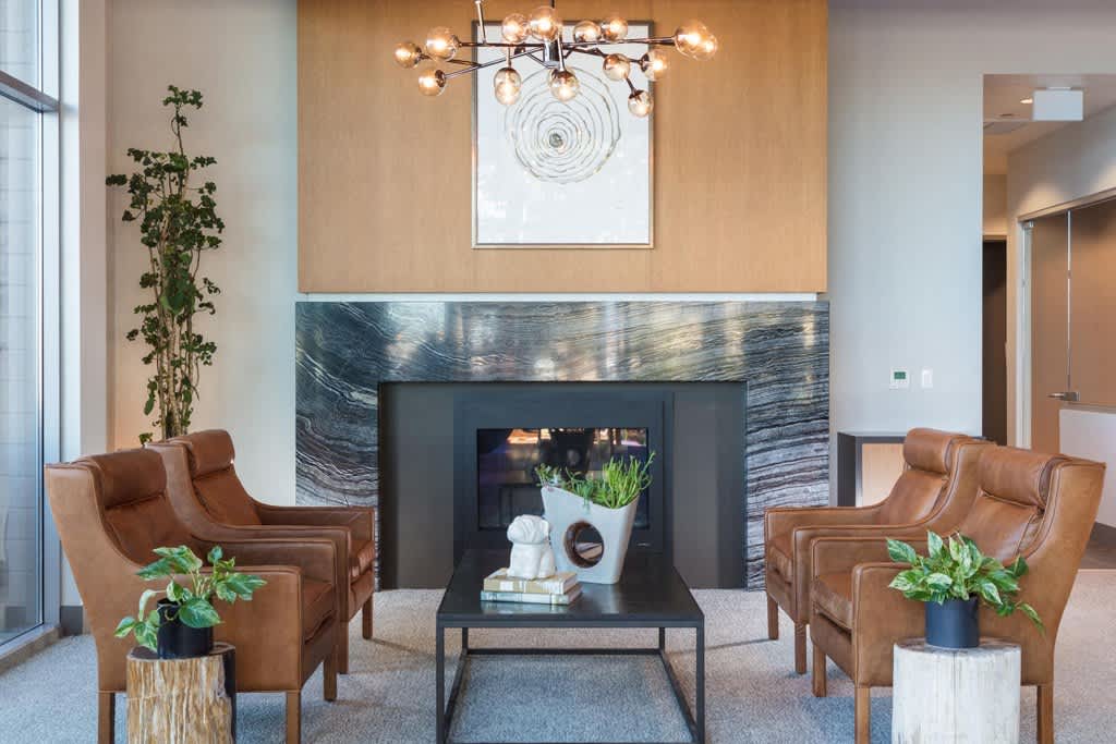 The Standard – photo 1