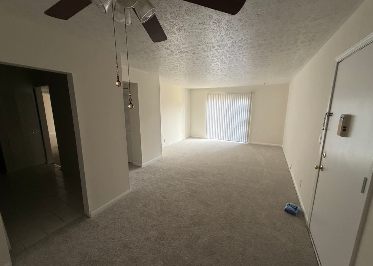 Renovated 2 BR 1.5 BA in Wildwood – photo 1