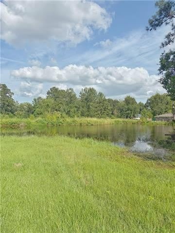 47068 Monteleone Lane – photo 3