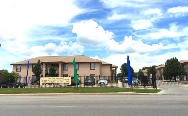 Palm Tree Apartments – photo 1