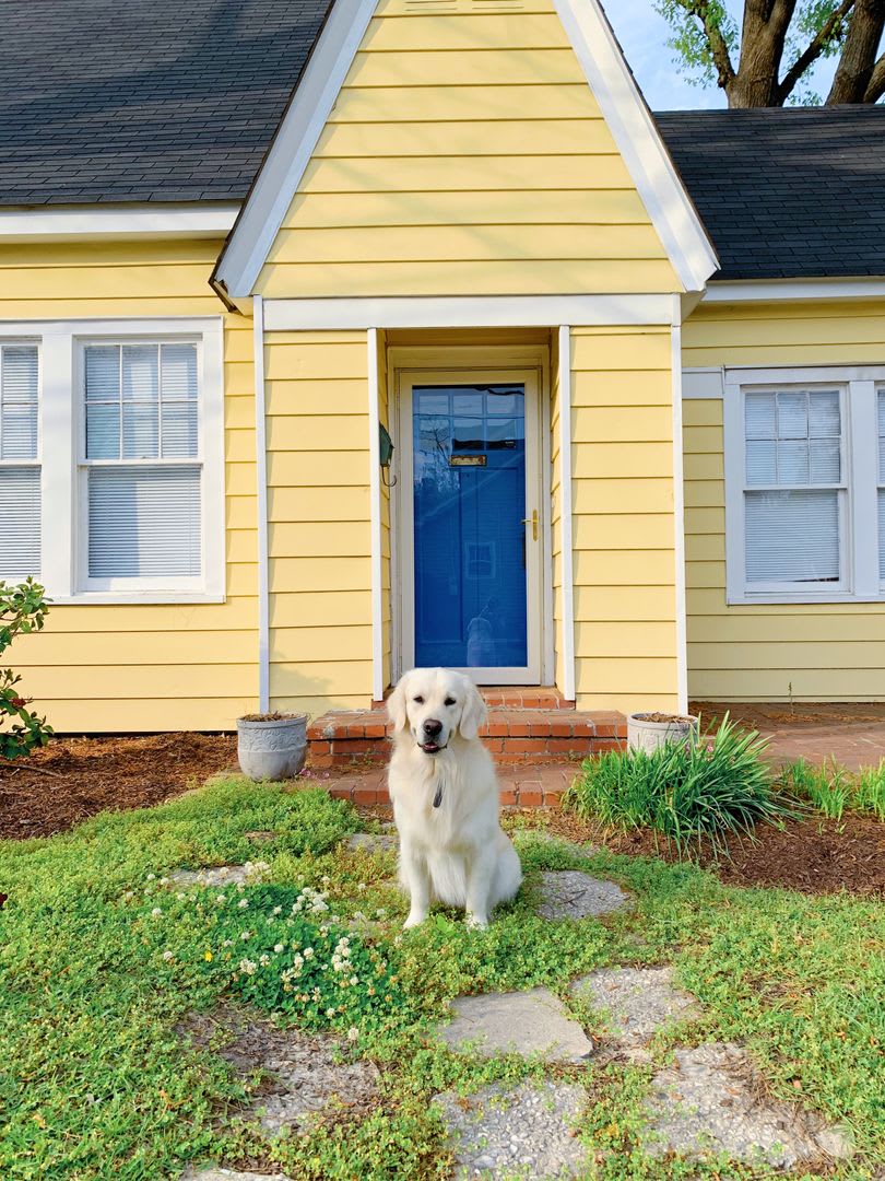 Beautiful 2 Bedroom home – photo 3