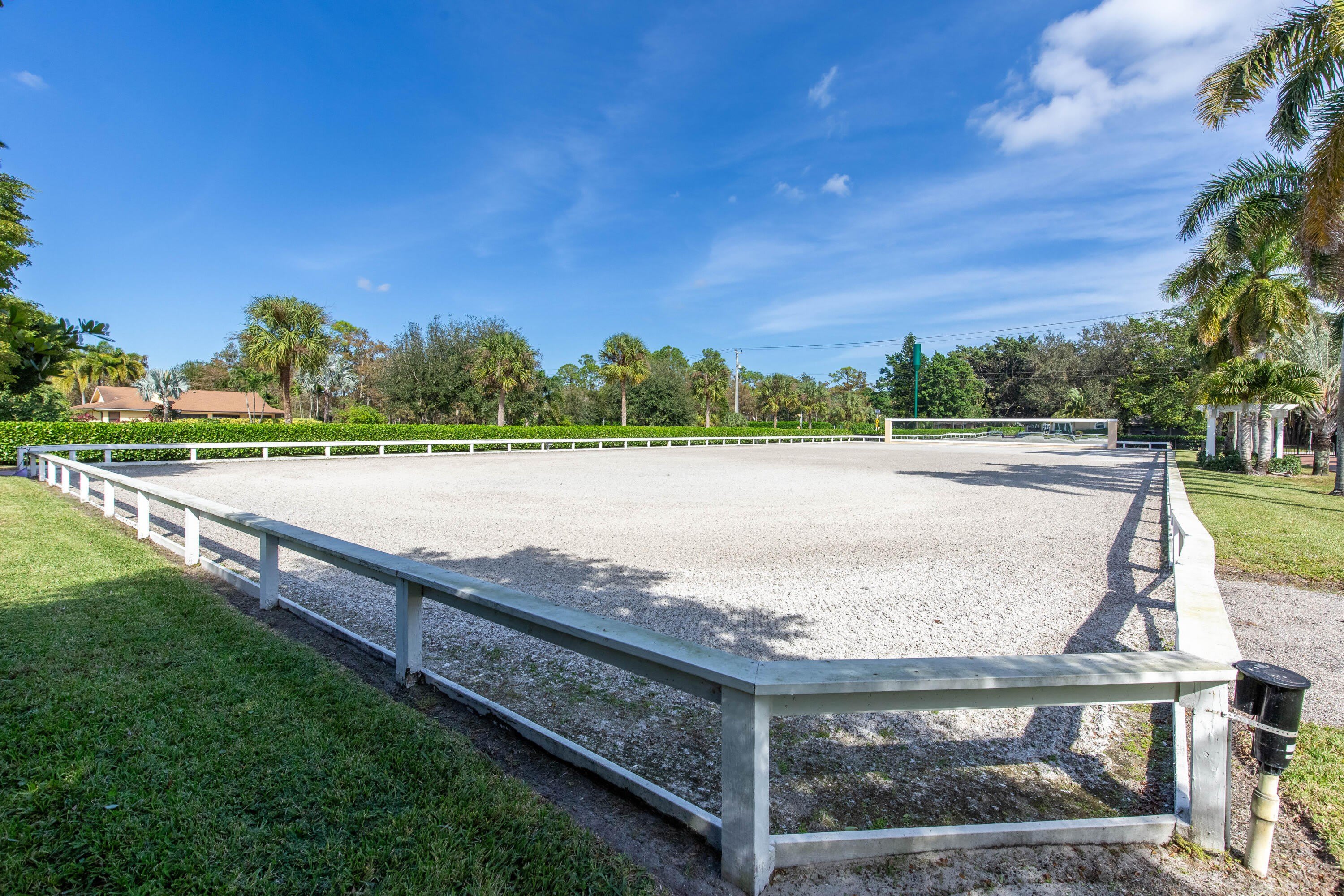 14943 Paddock Drive – photo 5