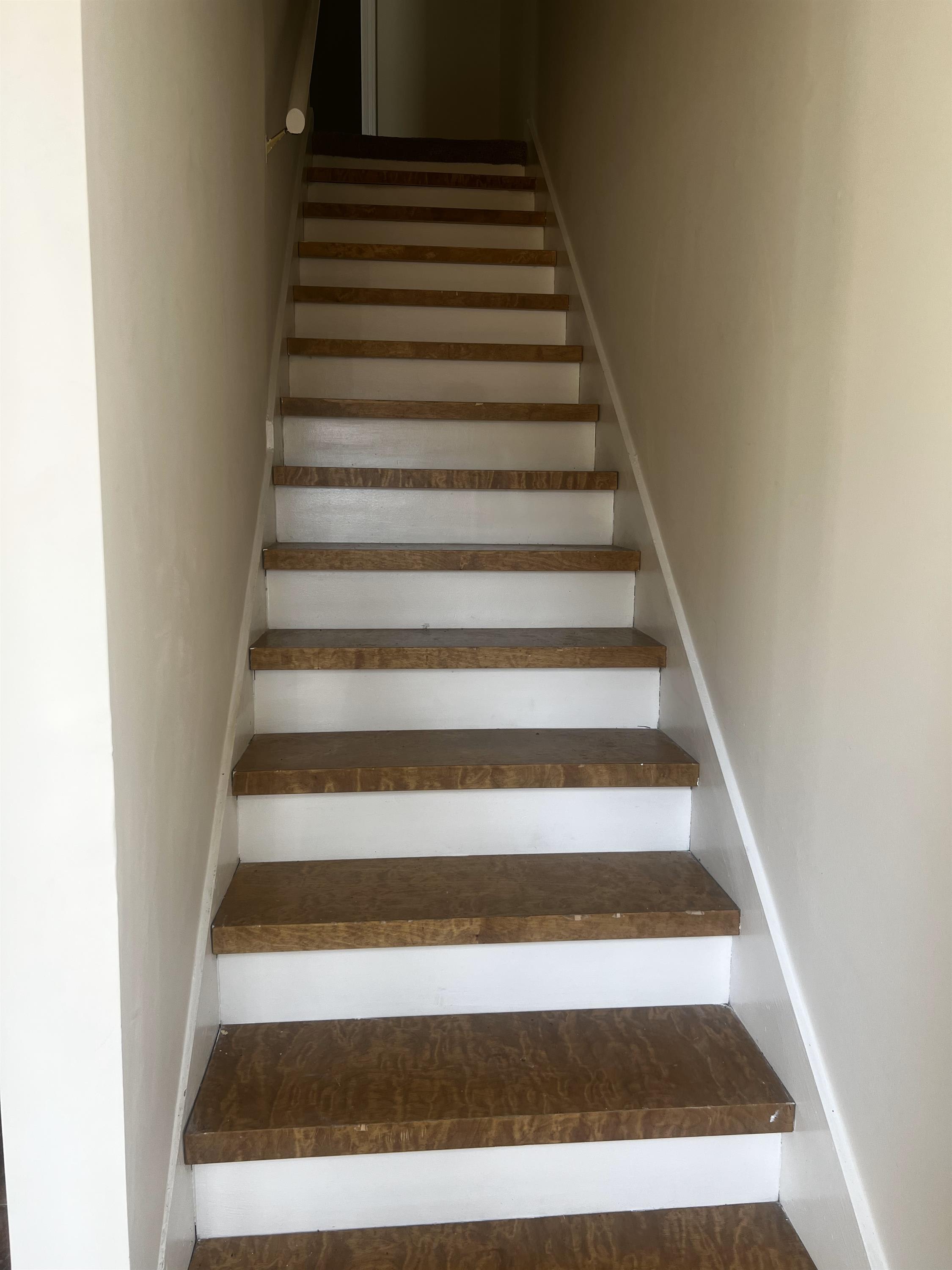 833 Harbor Bend Drive – photo 4