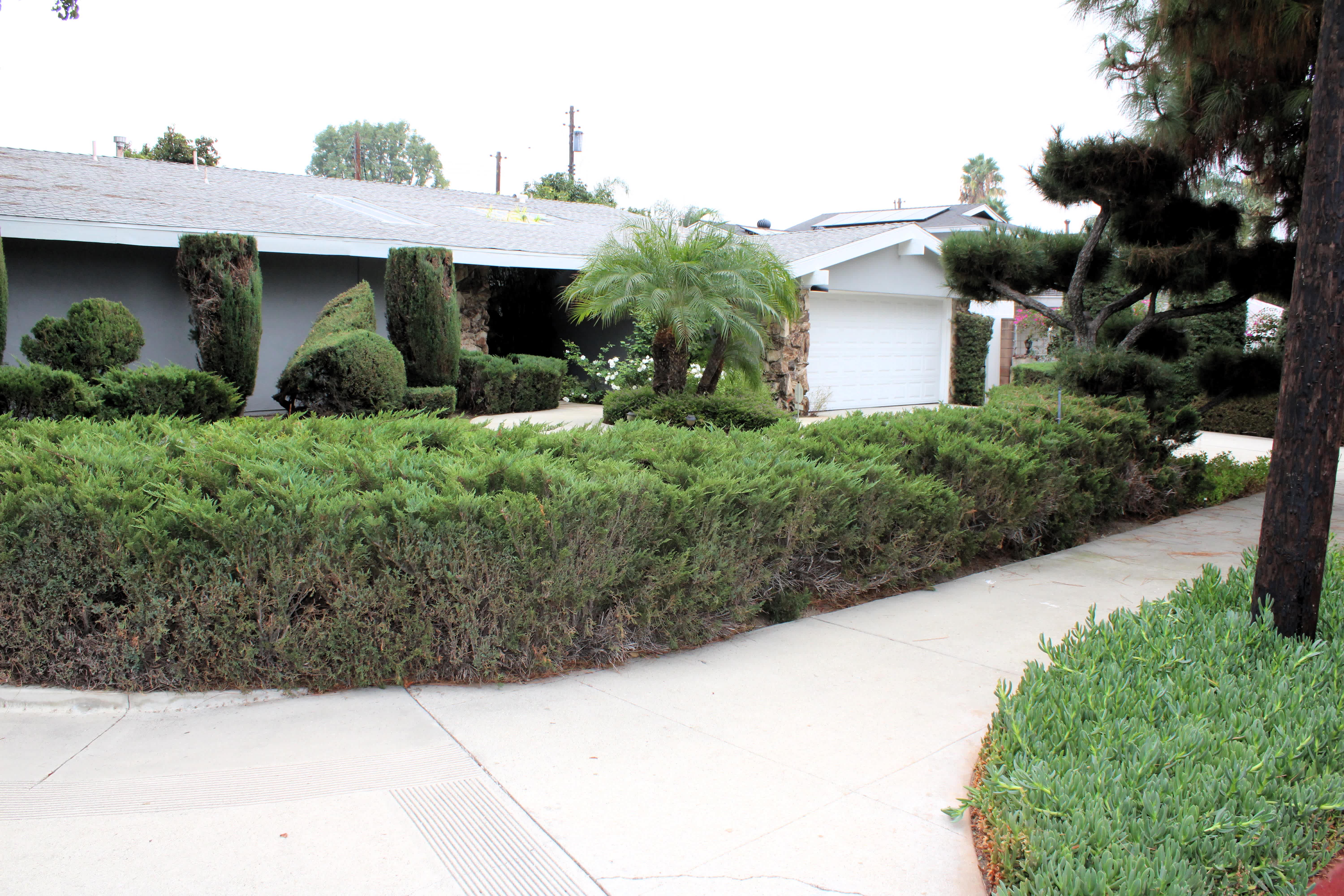 9642 Yolanda Ave – photo 2
