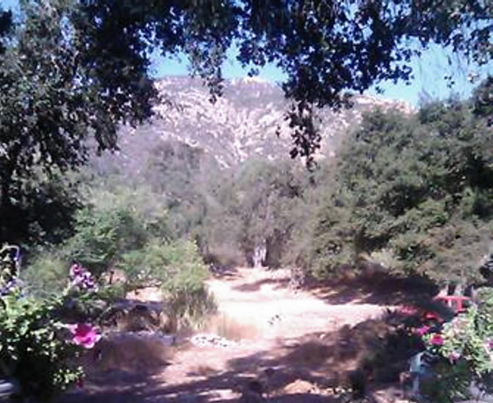 14519 Rios Canyon Road, #b – photo 4