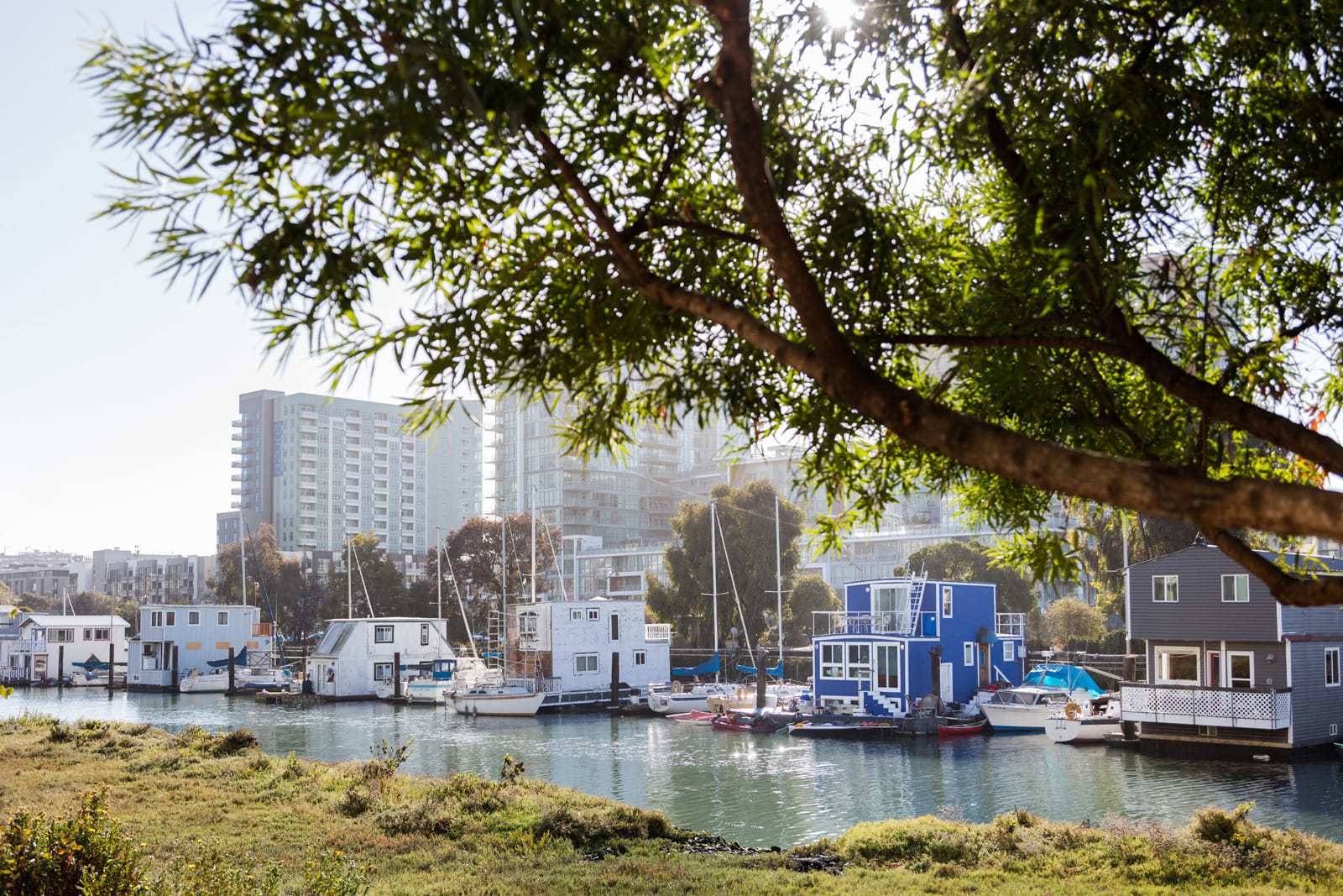 Mission Bay by Windsor – photo 5