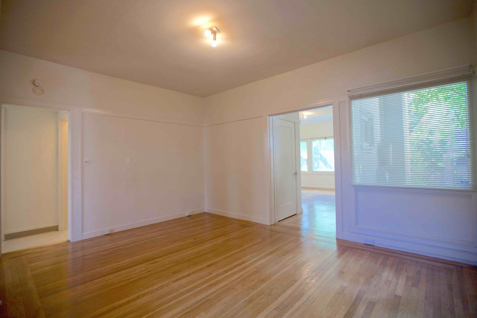 Beautiful, spacious 1-bdr with new windows, great wood floors, and lots of storage space – photo 5
