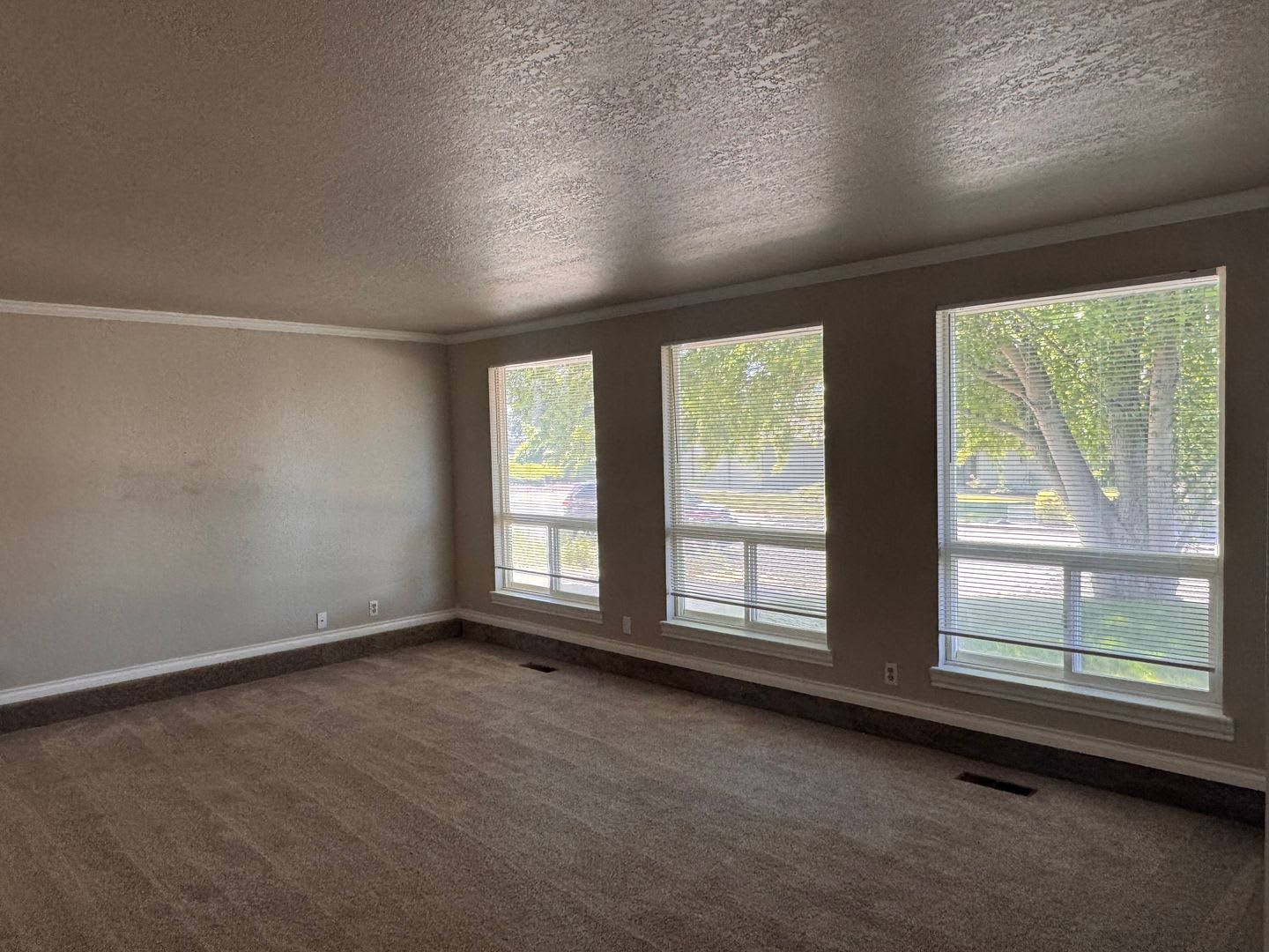 Terrace Heights 3br 2ba with double garage – photo 2