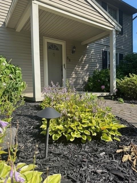 56 Tree Brook Drive – photo 2