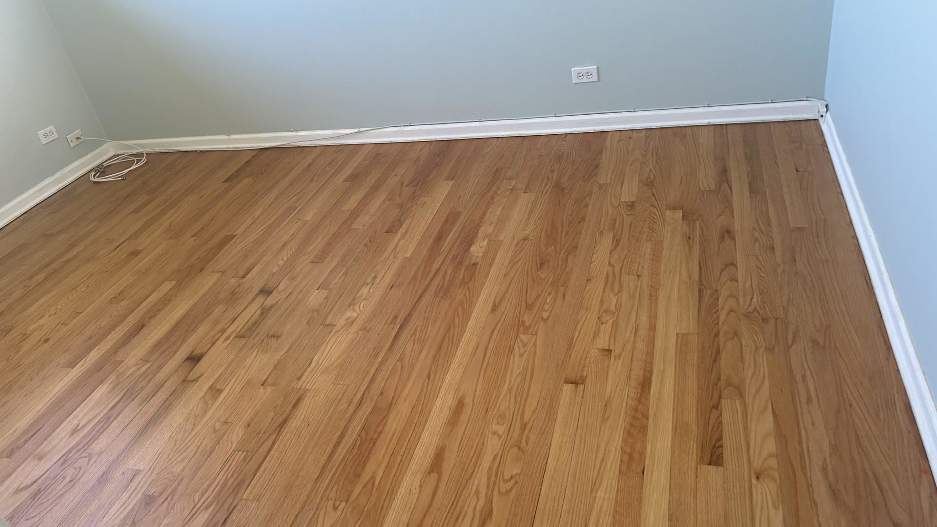 8658 Gregory Ln unit C – photo 3